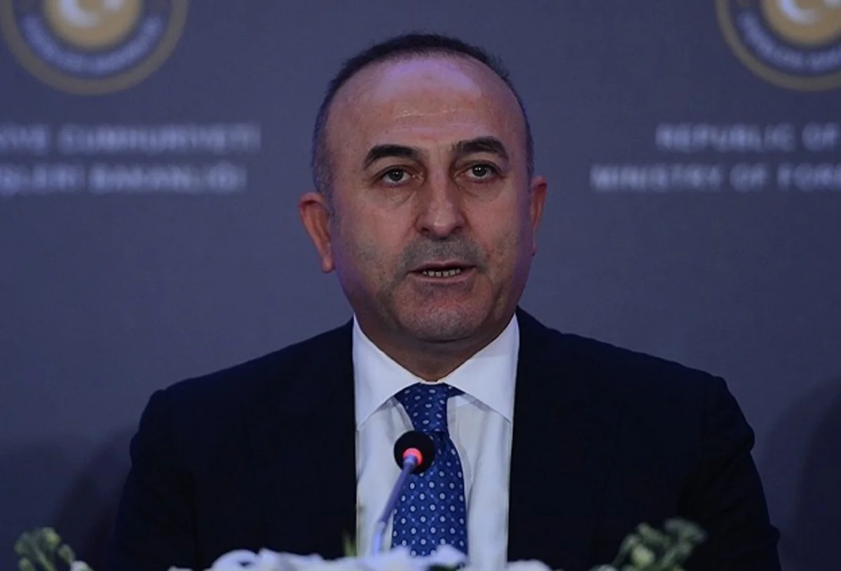 Turkish FM: Greece must grant Turkish minority's rights