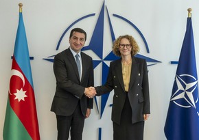 Hikmət Hacıyev NATO Baş katibinin müavini ilə görüşüb