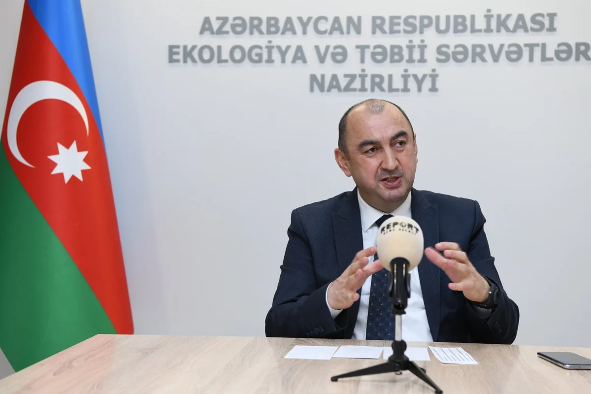 Nazir müavini: Azad olunan ərazilərdə təbiət abidələrinin 80%-i tamamilə məhv edilib