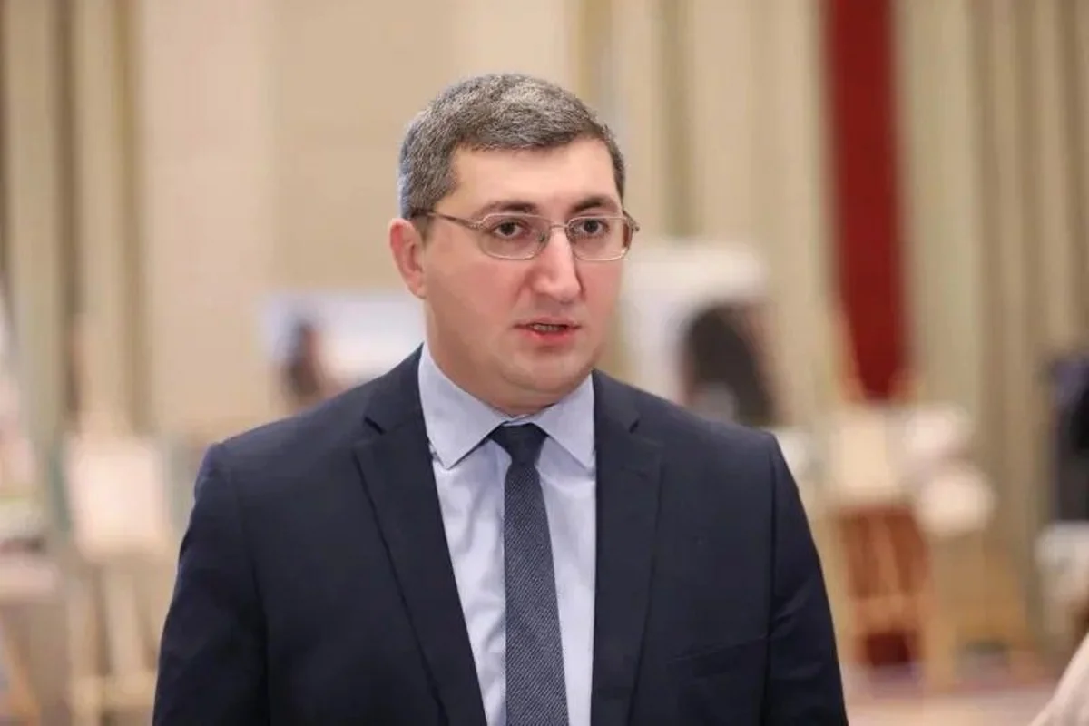 Georgian Finance Ministry: US, EU funding suspension won't affect state budget