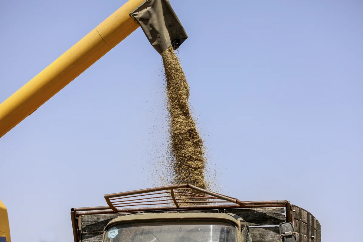 Azerbaijan sharply increases grain imports from Kazakhstan