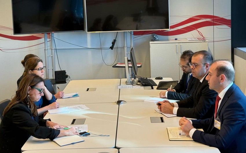 Azerbaijani MPs mull landmine issue with NATO rep
