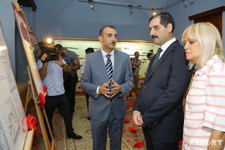 Səfir: 100 il əvvəlki hadisələr Türkiyə və Azərbaycanın yaxınlığını və qardaşlığını sübut edir
