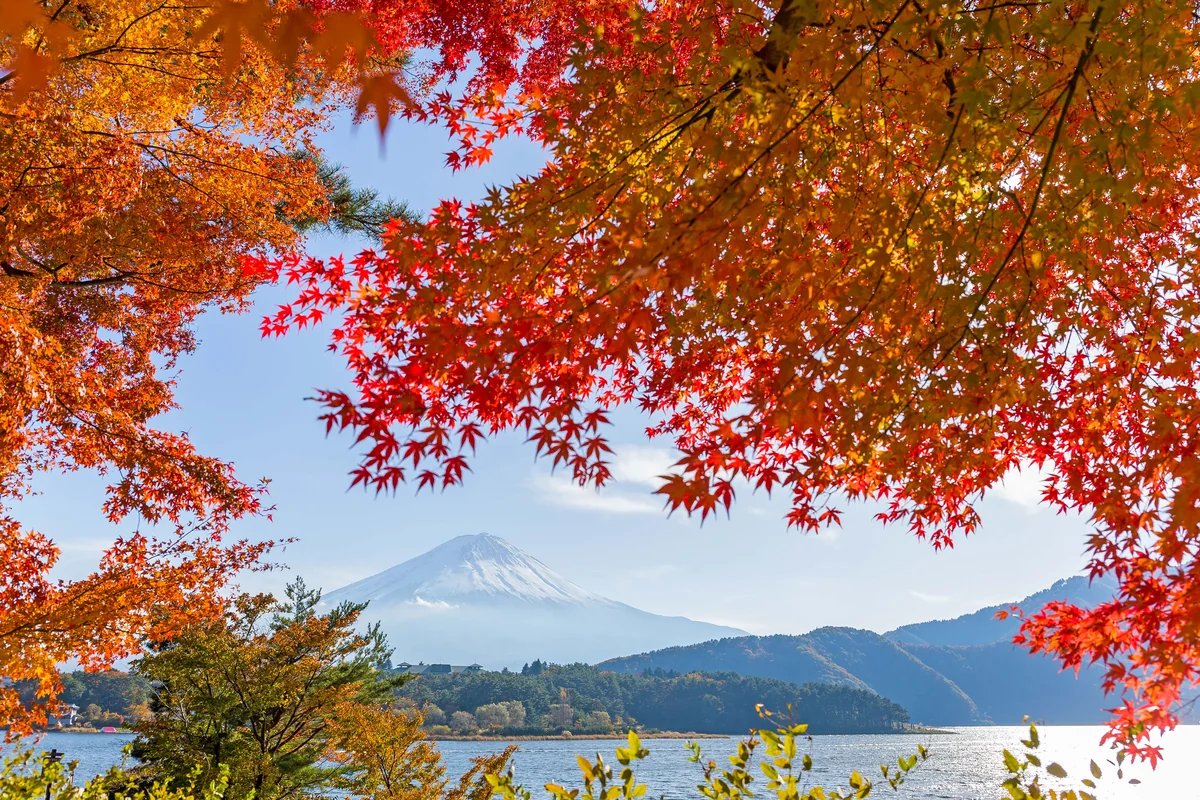 Sabahın hava proqnozu açıqlandı