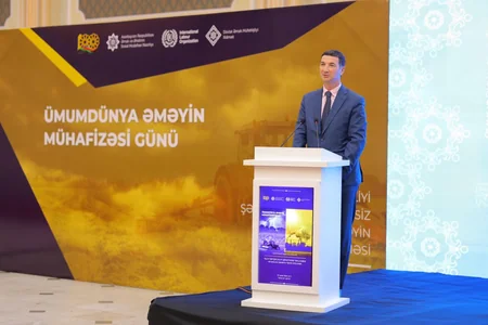 Naxçıvanda Ümumdünya Əməyin Mühafizəsi Gününə həsr olunan konfrans keçirilib - YENİLƏNİB