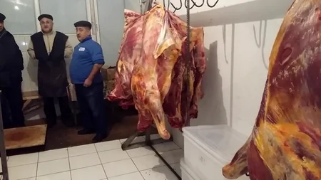 Təzə bazardakı gizli sexdə aşkarlanan yararsız ətlərin laboratoriya müayinələri açıqlanıb