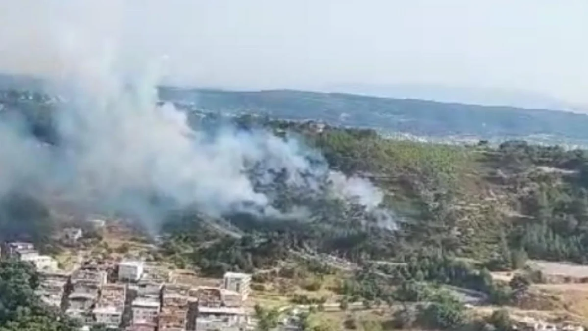 Wildfire erupts in Western Türkiye's Izmir province