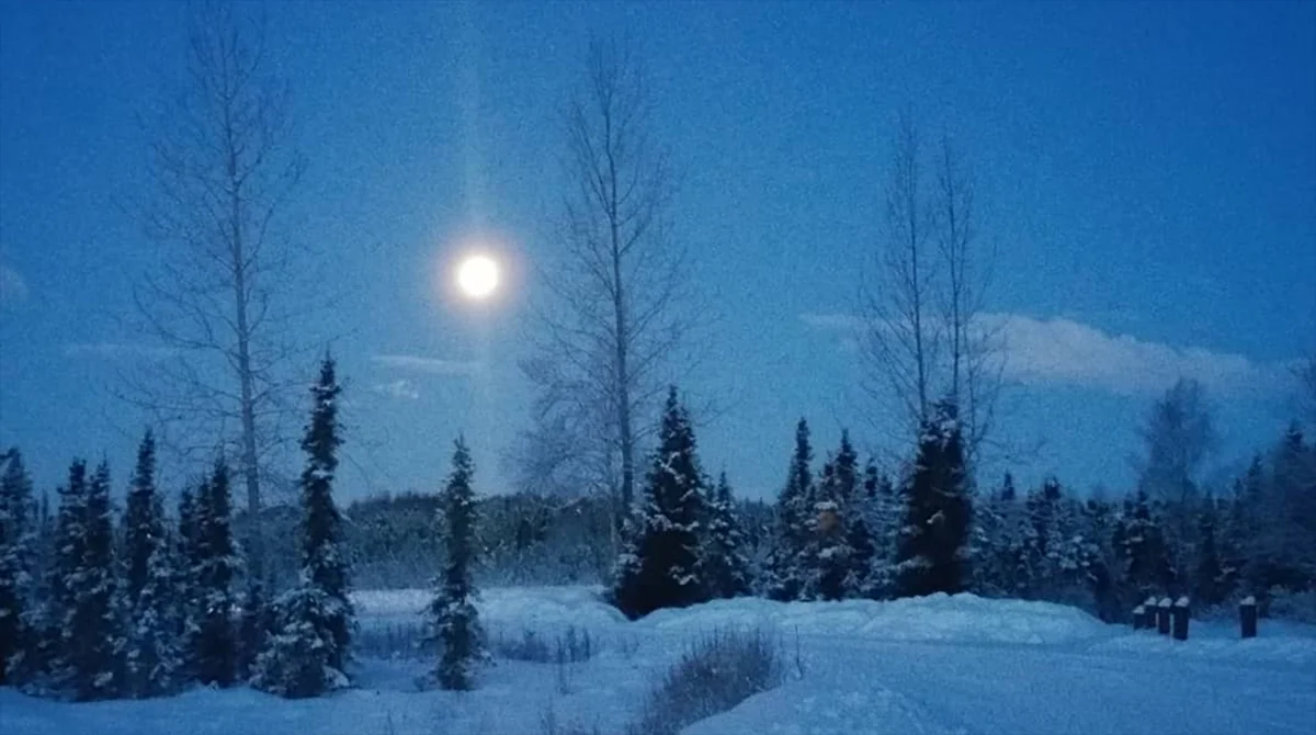 Moskvada qış mövsümündə son 140 ilin rekord istiliyi qeydə alınıb