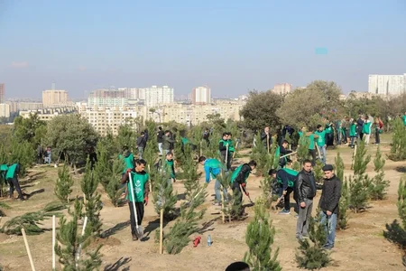 President Ilham Aliyev and first lady Mehriban Aliyeva attended tree-planting campaign in Khatai district, Baku