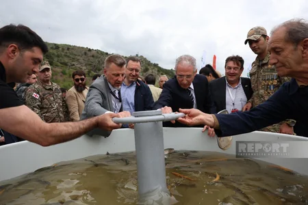 Xarici diplomatlar və hərbi attaşelər Laçında Həkəri çayına balıq körpələri buraxıblar - YENİLƏNİB-2