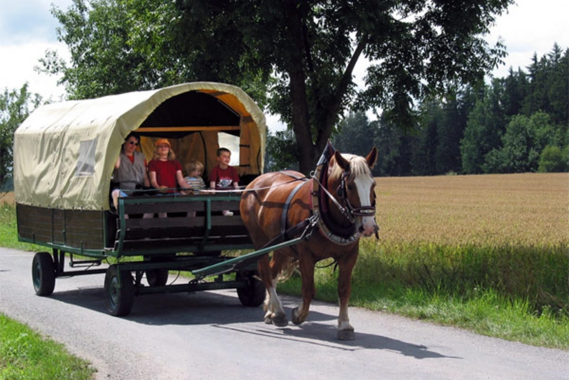 Xaçmazda avtomobil at arabasını vurub, xəsarət alanlar var