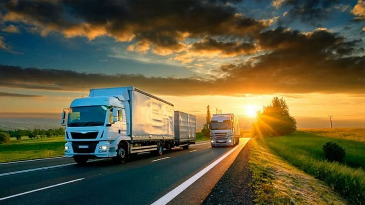AZPROMO: Logistika subsidiyası ixracatçıların xərclərini azaldacaq