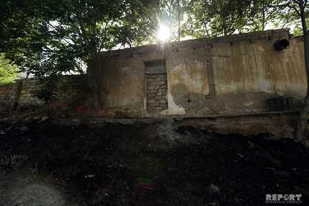 Bakıda ağaclıq sahədə baş verən yanğın söndürülüb - FOTO - YENİLƏNİB-2