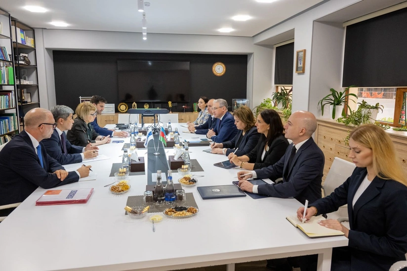 Muxtar Babayev ATƏT-in baş katibi ilə görüşüb