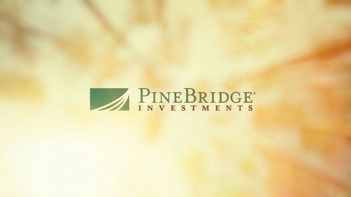 PineBridge: Gələn il  istiqraz faizləri yüksələcək