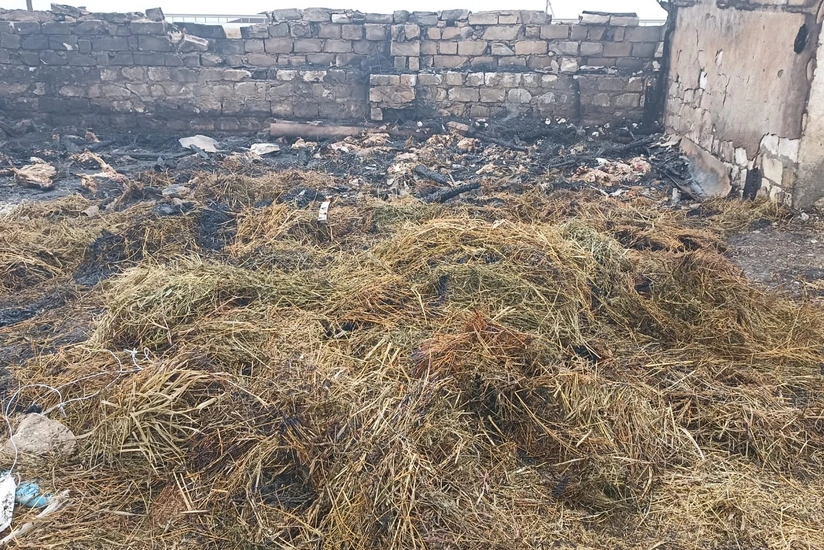 Goranboyda fermanı qəsdən yandırmaqda şübhəli bilinən şəxslər saxlanılıb