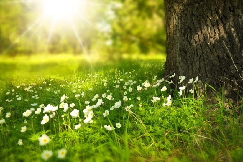 Dry weather expected in Azerbaijan tomorrow