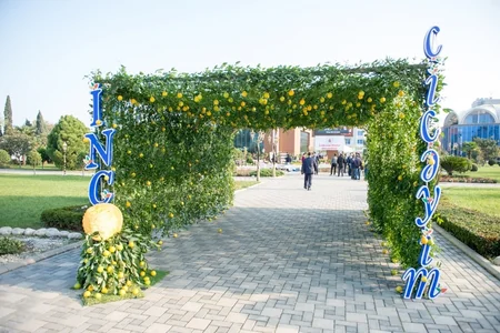 Lənkəranda III Çay, Çəltik, Sitrus Festivalı keçiriləcək - FOTO - VİDEO