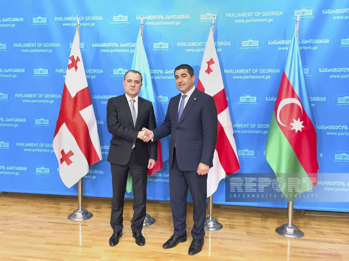Ceyhun Bayramov Gürcüstanın parlament sədri ilə görüşüb
