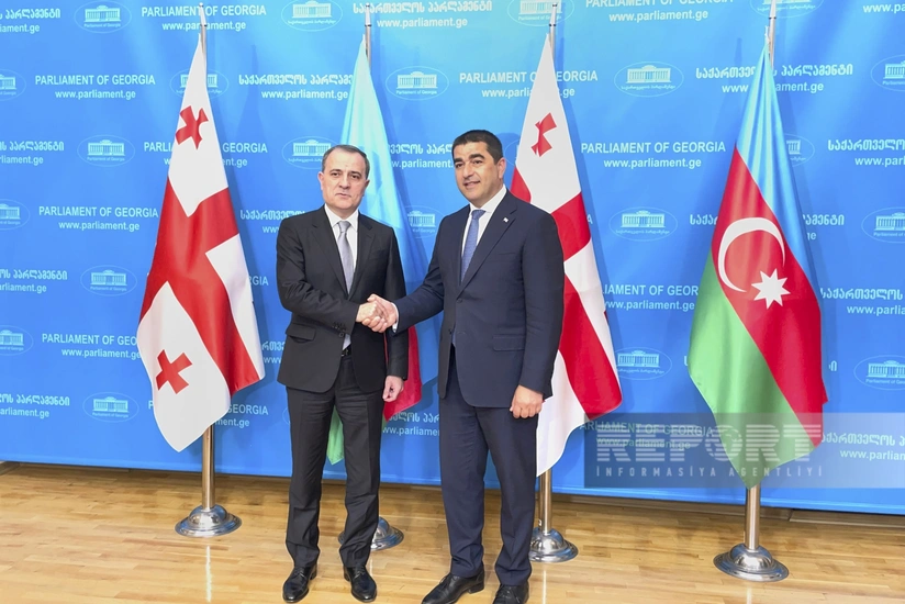 Ceyhun Bayramov Gürcüstanın parlament sədri ilə görüşüb
