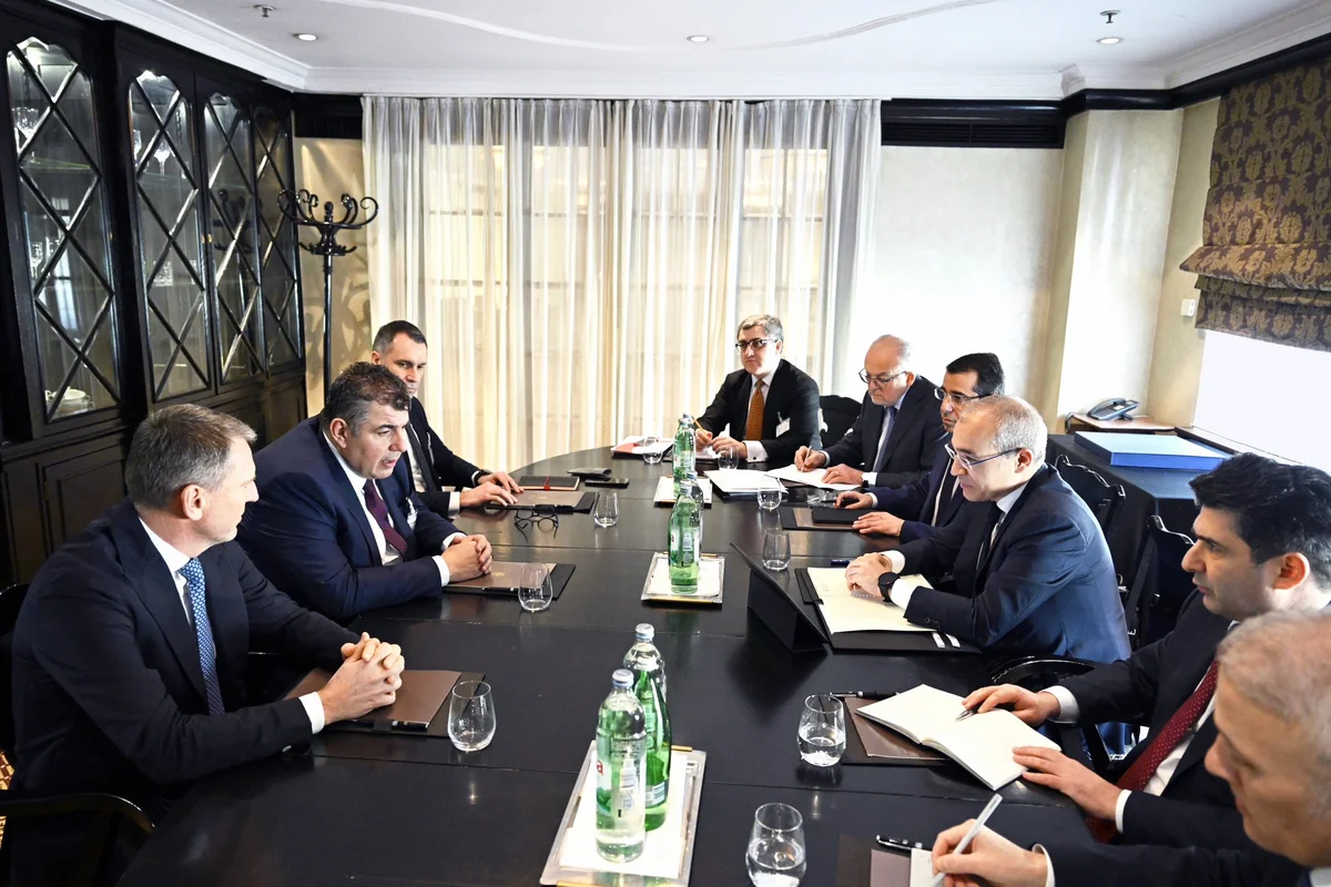 Xorvatiya şirkətinin Azərbaycanla əməkdaşlıq potensialı müzakirə edilib