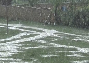 Непогода нанесла урон частным домам и фруктовым садам в Исмаиллы 