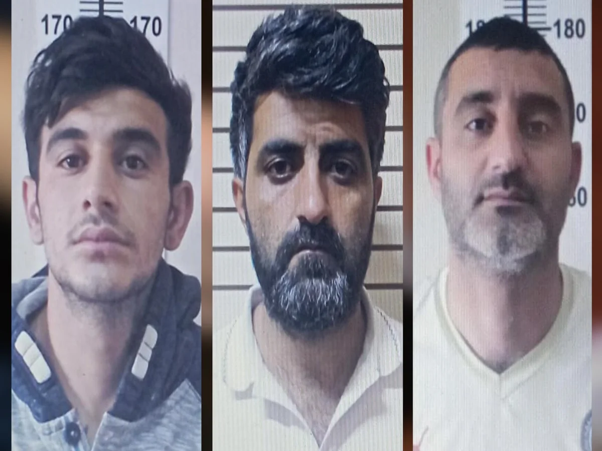 Bakıda 106 min manatlıq noutbuk və kompüter avadanlıqlarını oğurlayan şəxslər saxlanılıb