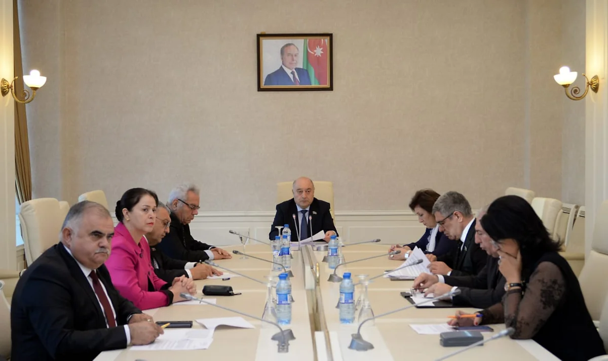 Milli Məclisin Əmək və sosial siyasət komitəsinin iclası keçirilib