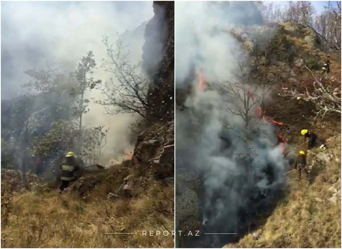 FHN-dən Daşkəsəndəki yanğınla bağlı açıqlama