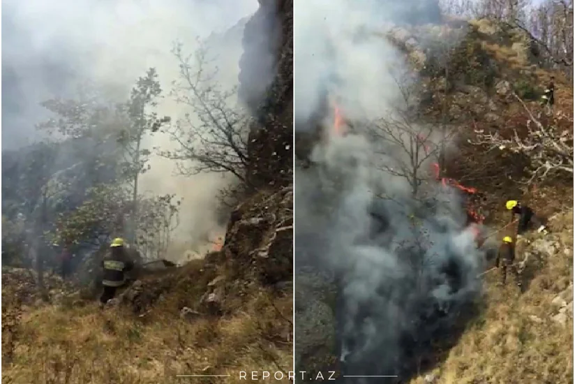 FHN-dən Daşkəsəndəki yanğınla bağlı açıqlama