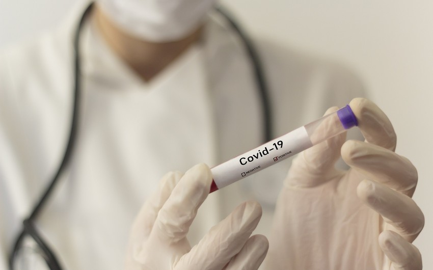 Scientists create antibody blocking COVID-19