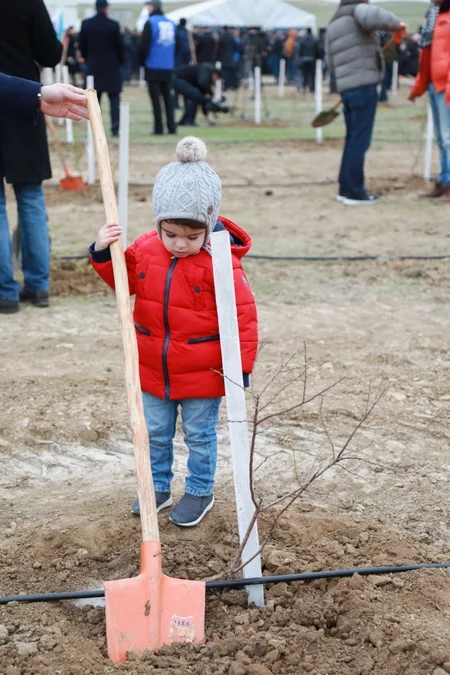 Report News Agency takes part in tree planting campaign - VIDEO