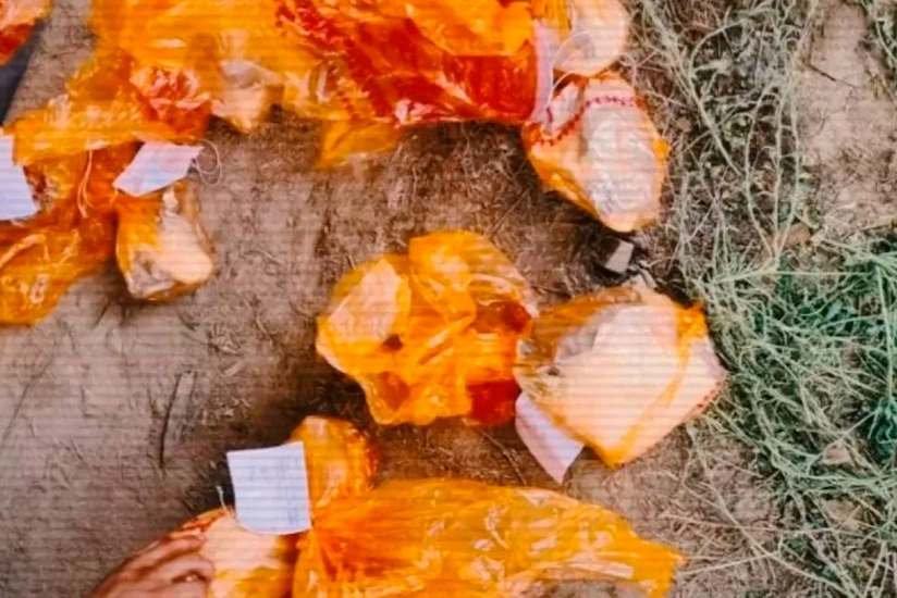 Kazakhstan dismantles nationwide synthetic drug lab network