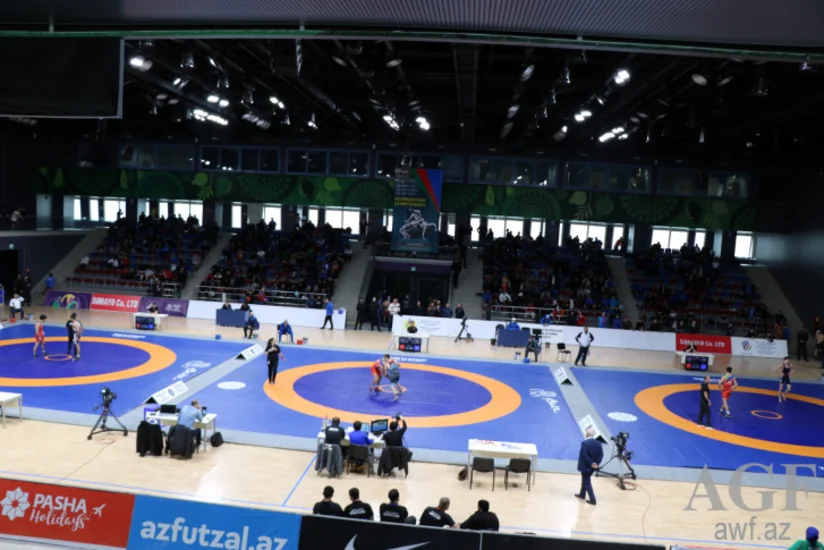 Azərbaycan çempionatı: Daha 7 çəki üzrə medalçılar müəyyənləşib