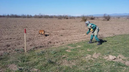 ANAMA: Cocuq Mərcanlıda 46 gündə 22 ədəd partlamamış hərbi sursat aşkarlanıb