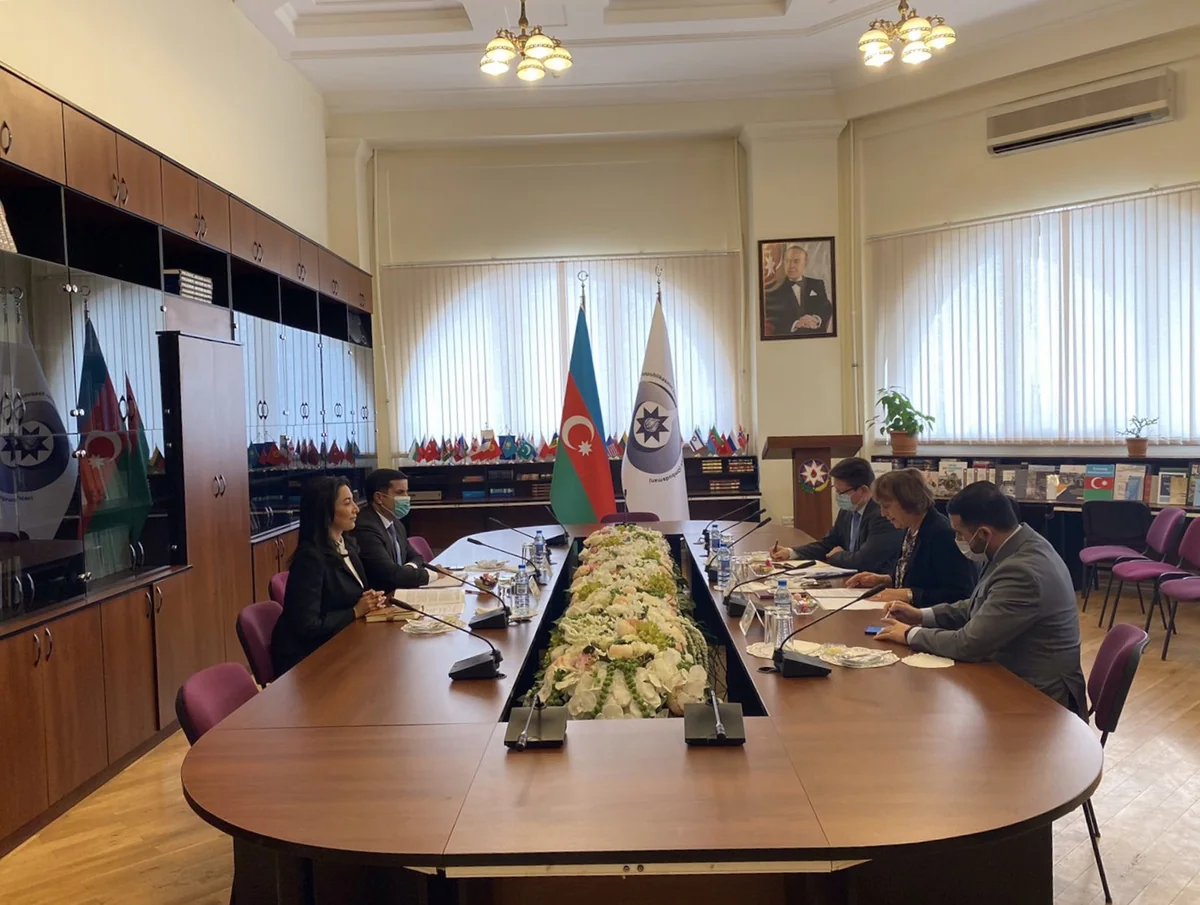 Ombudsman Avropa Şurasının nümayəndəsi Verena Teyloru qəbul edib