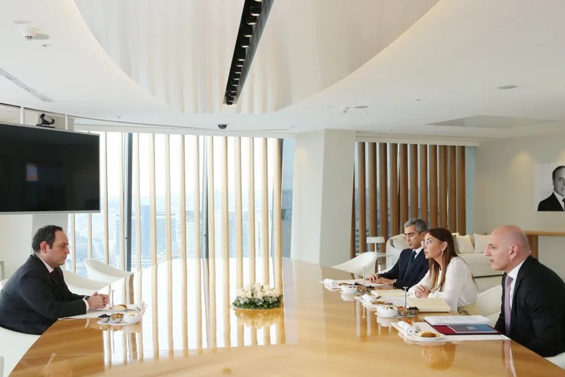 First Vice-President meets with deputy secretary general of Bureau International des Expositions