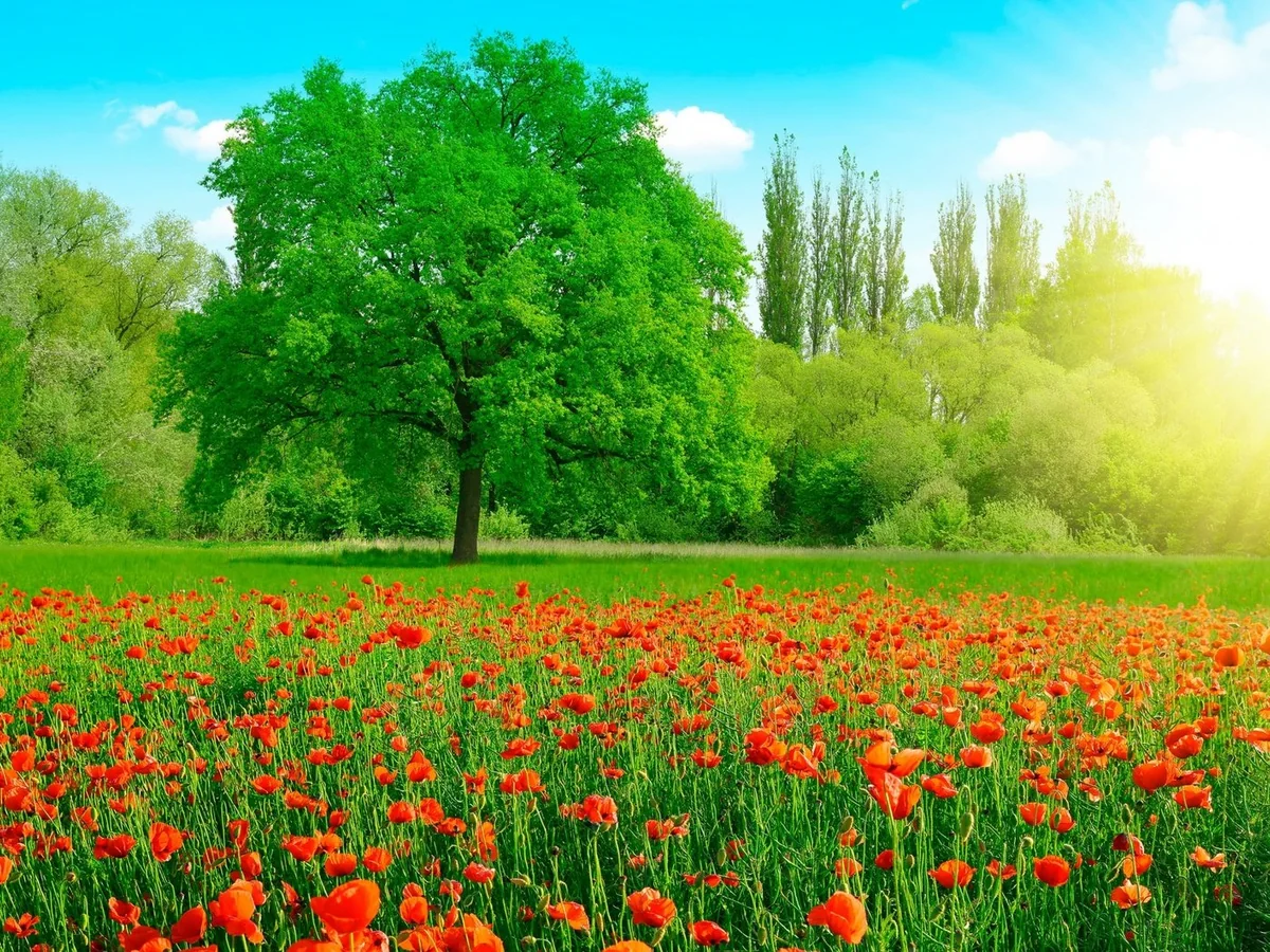 Azerbaijan weather forecast for May 30