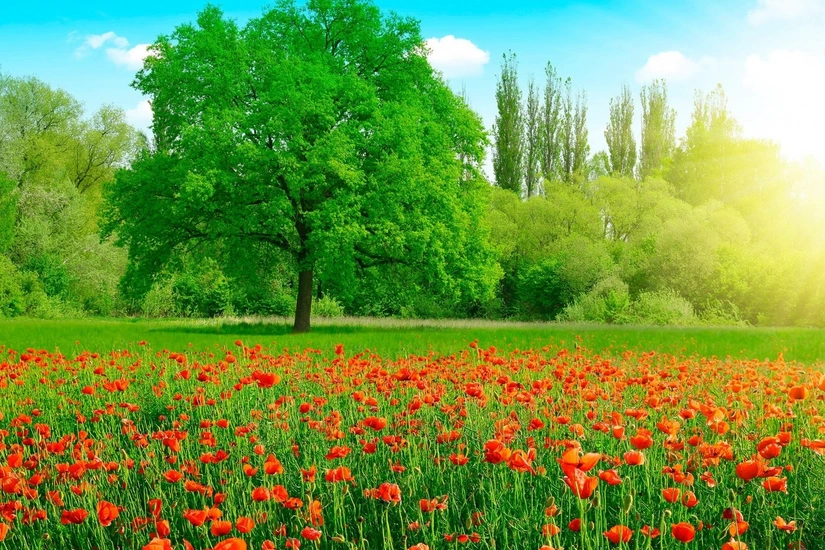 Azerbaijan weather forecast for May 30