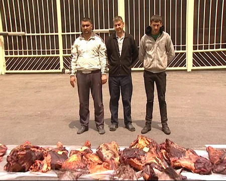 ​Ağdaş sakinləri 945 kiloqram at əti satmaq istəyərkən saxlanılıblar