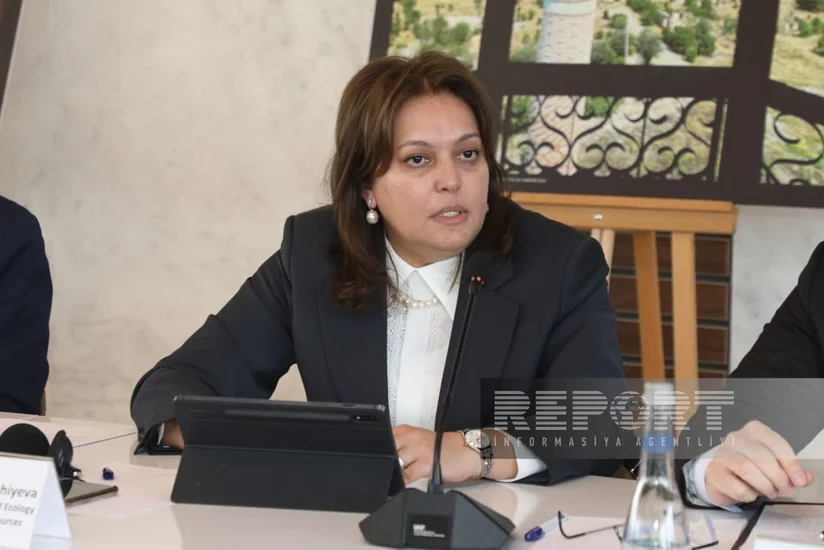Umayra Tağıyeva: Yaşıl enerjidən istifadə və yaşıl zonaların yaradılması Azərbaycan üçün prioritet məsələdir