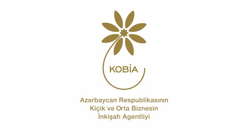 Səudiyyə Ərəbistanı sərmayədarlarının Azərbaycanda maraqlı olduğu sahələr açıqlanıb