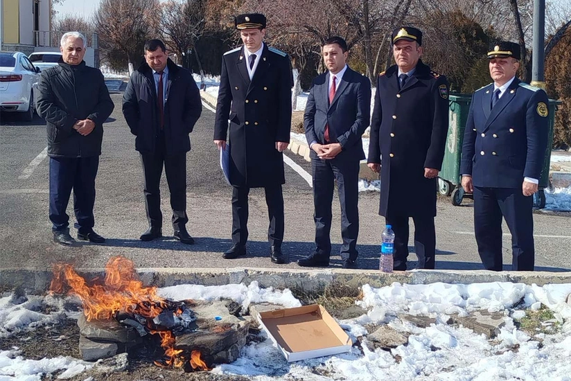 Kəngərlidə narkotik vasitələr və psixotrop maddələr məhv edilib