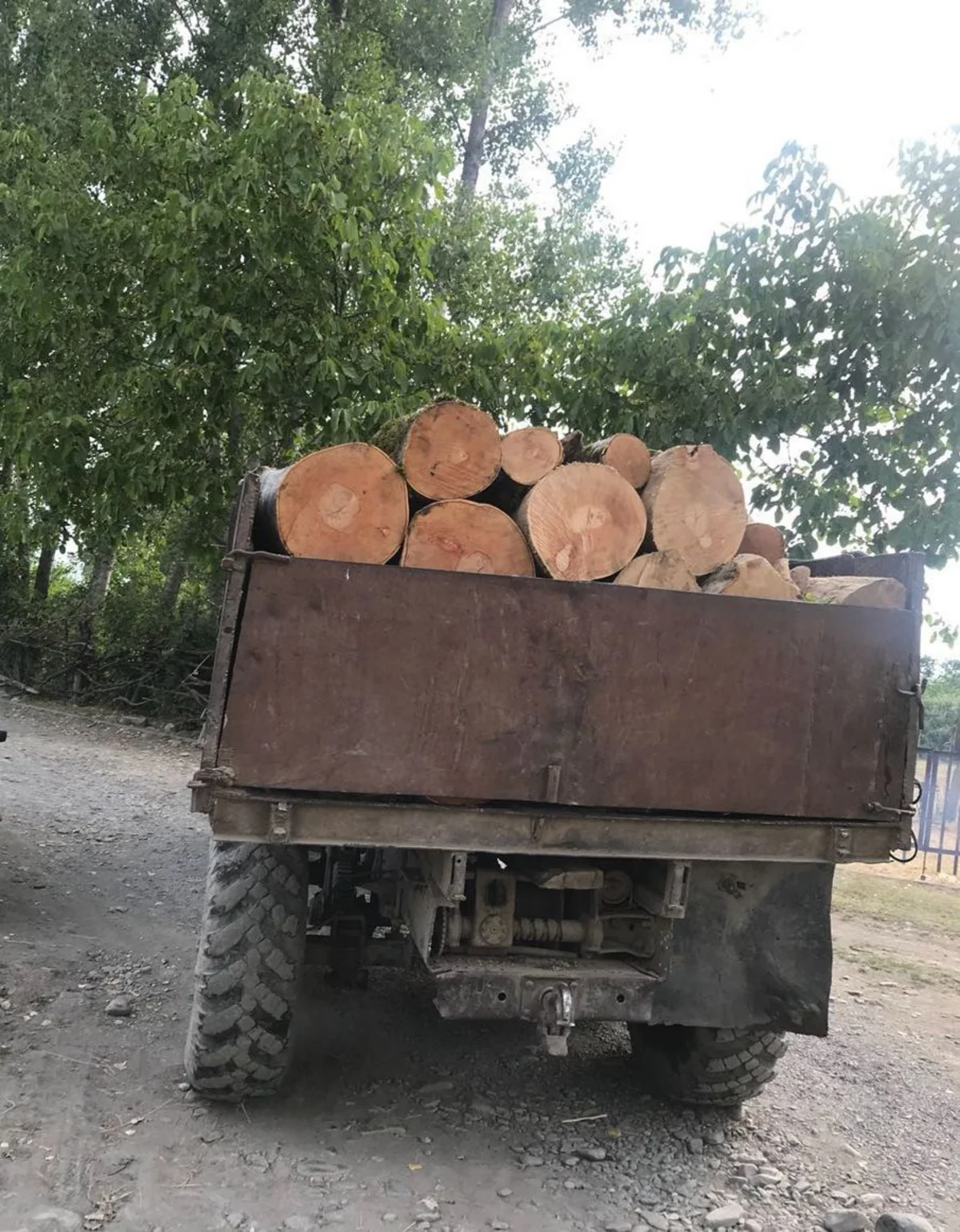 Qəbələdə qanunsuz yolla əldə edilmiş meşə materialı aşkarlanıb
