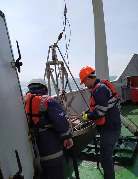 Xəzər dənizində ekoloji monitorinqlər başa çatıb