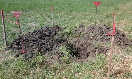 ​ANAMA: 15 ədəd piyada əleyhinə mina, 3 ədəd piyada əleyhinə mina zərərsizləşdirilib - FOTO