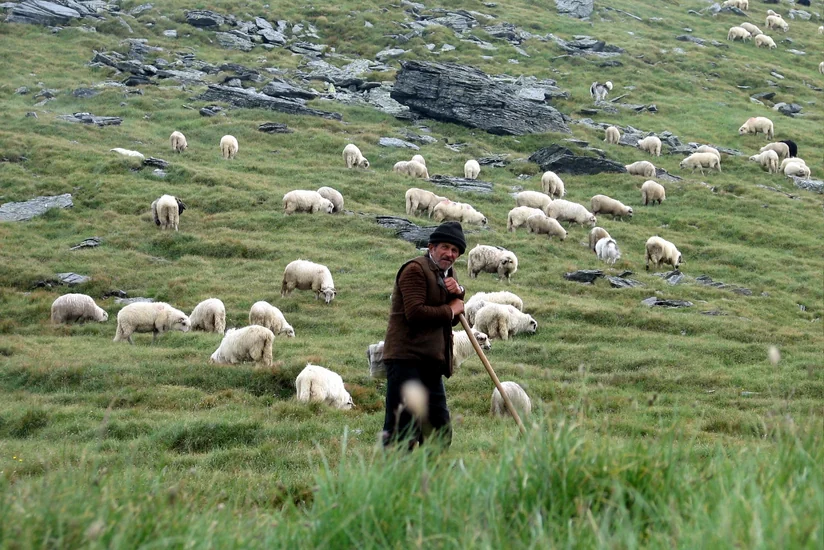 Armenian shepherd went missing on border with Azerbaijan