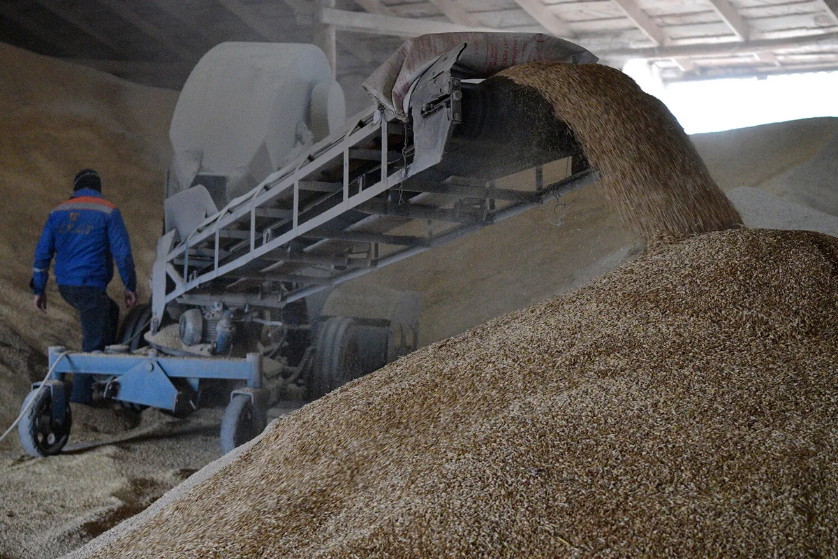 Lithuania is ready to export 1M tons of Ukrainian grain by rail