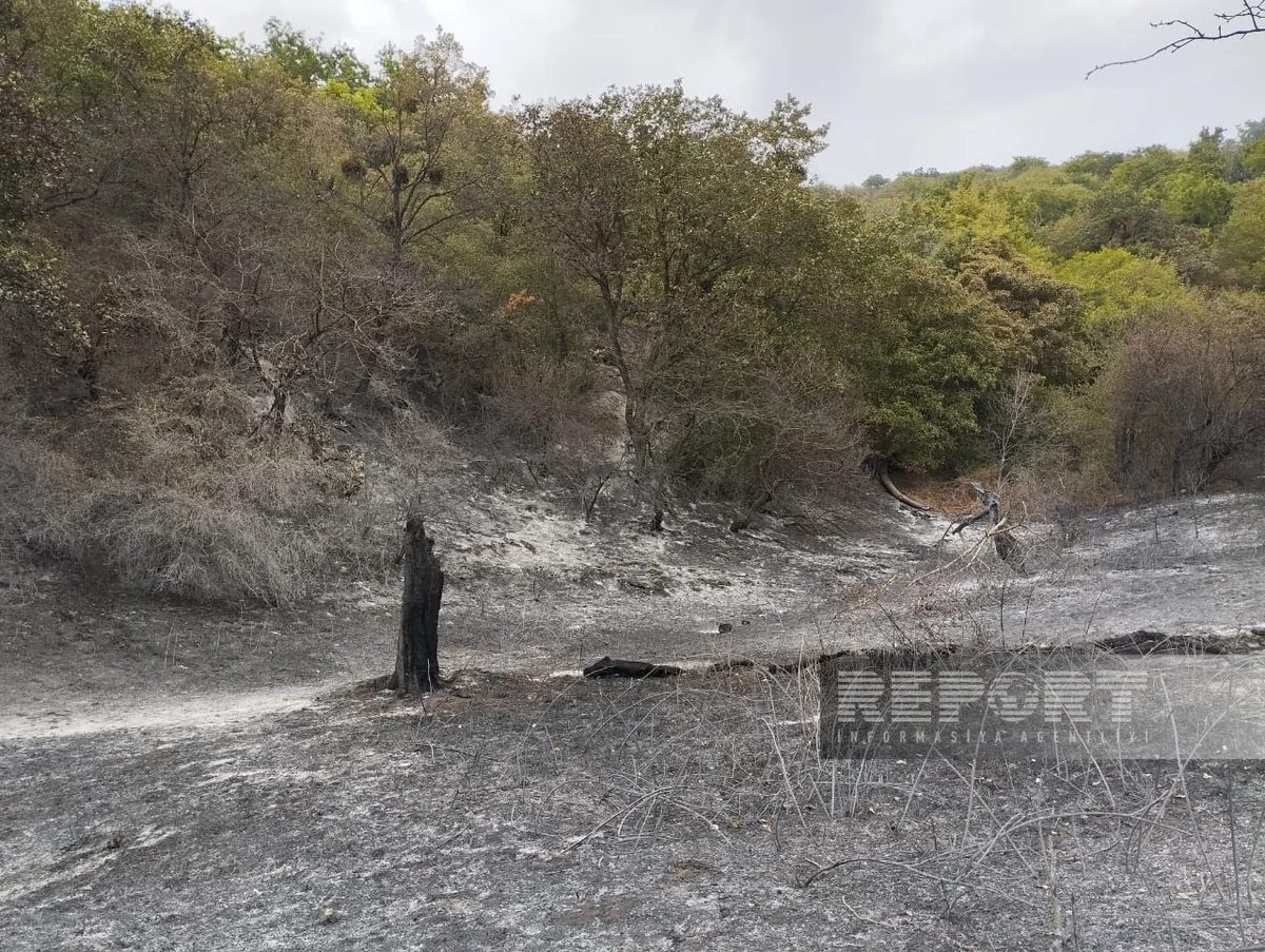 Ağdam və Xocavənddə baş verən yanğınlar söndürülüb