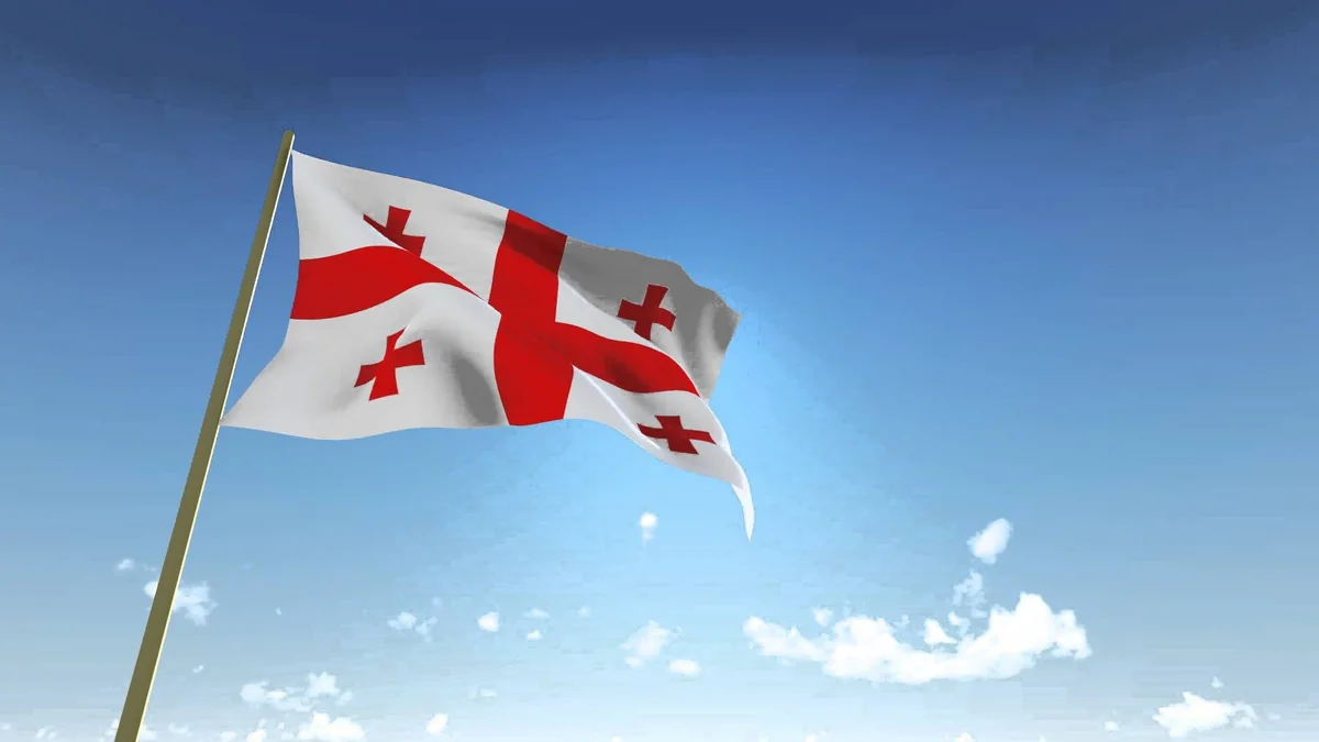 Georgia detains over 30 foreign nationals, including Azerbaijanis